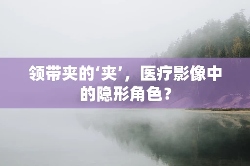 领带夹的‘夹’，医疗影像中的隐形角色？