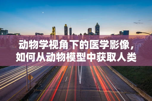动物学视角下的医学影像，如何从动物模型中获取人类疾病的线索？
