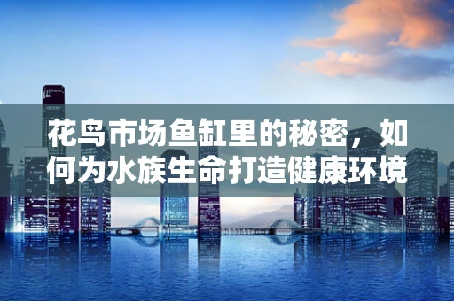 花鸟市场鱼缸里的秘密，如何为水族生命打造健康环境？
