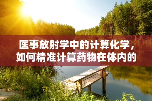 医事放射学中的计算化学，如何精准计算药物在体内的分布与代谢？