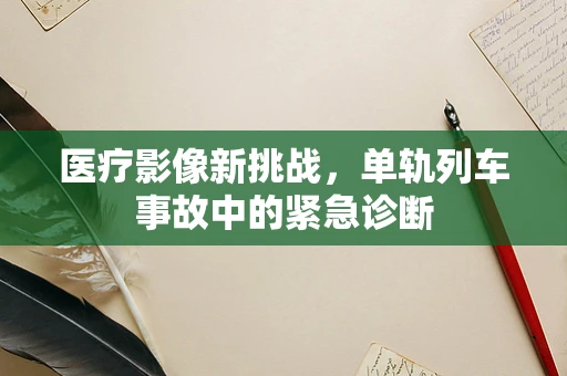 医疗影像新挑战，单轨列车事故中的紧急诊断