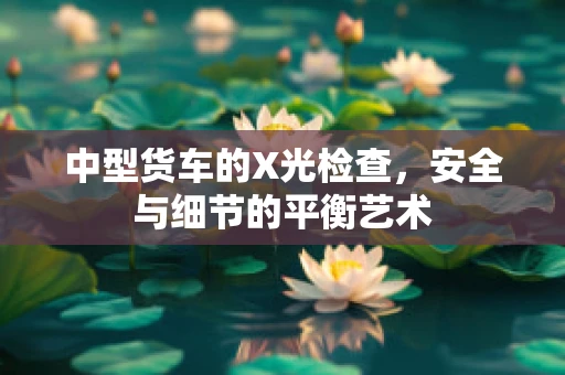 中型货车的X光检查，安全与细节的平衡艺术