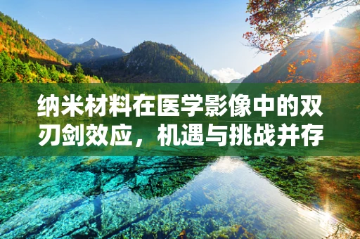 纳米材料在医学影像中的双刃剑效应，机遇与挑战并存？