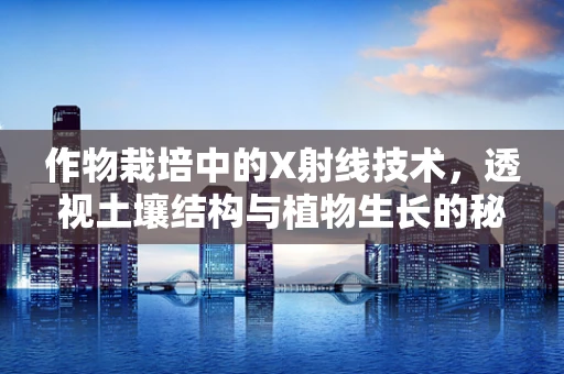 作物栽培中的X射线技术，透视土壤结构与植物生长的秘密