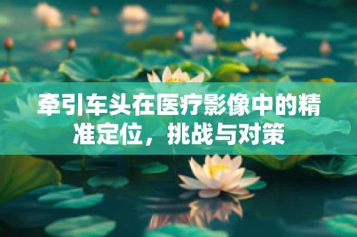 牵引车头在医疗影像中的精准定位，挑战与对策