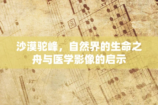 沙漠驼峰，自然界的生命之舟与医学影像的启示