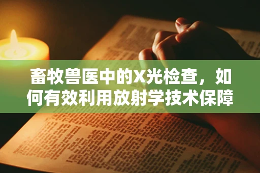 畜牧兽医中的X光检查，如何有效利用放射学技术保障动物健康？