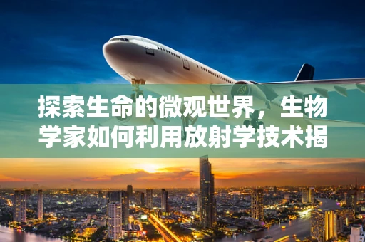 探索生命的微观世界，生物学家如何利用放射学技术揭示细胞奥秘？