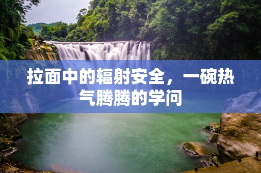 拉面中的辐射安全，一碗热气腾腾的学问