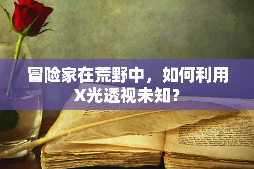 冒险家在荒野中，如何利用X光透视未知？