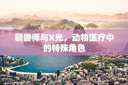 驯兽师与X光，动物医疗中的特殊角色