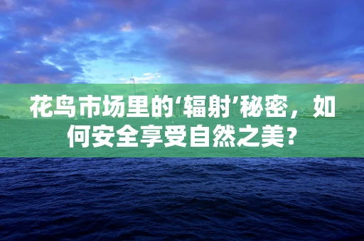 花鸟市场里的‘辐射’秘密，如何安全享受自然之美？