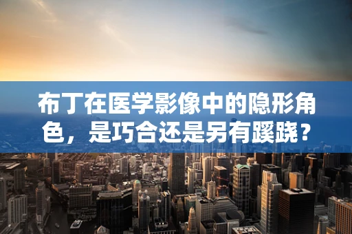布丁在医学影像中的隐形角色，是巧合还是另有蹊跷？