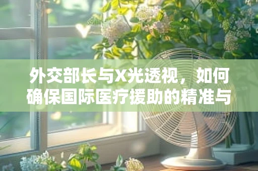 外交部长与X光透视，如何确保国际医疗援助的精准与安全？