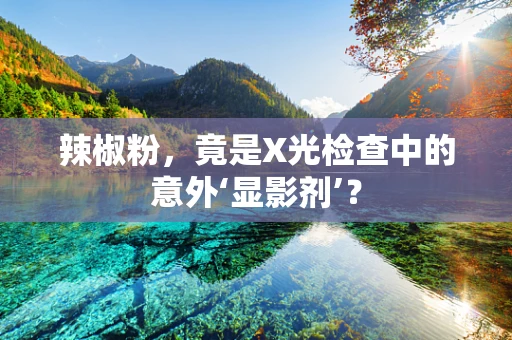 辣椒粉，竟是X光检查中的意外‘显影剂’？