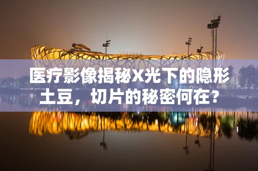 医疗影像揭秘X光下的隐形土豆，切片的秘密何在？