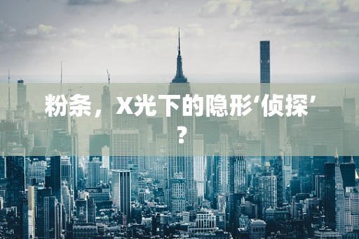 粉条，X光下的隐形‘侦探’？