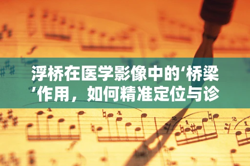 浮桥在医学影像中的‘桥梁’作用，如何精准定位与诊断？