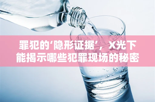 罪犯的‘隐形证据’，X光下能揭示哪些犯罪现场的秘密？