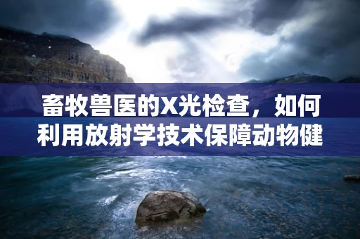 畜牧兽医的X光检查，如何利用放射学技术保障动物健康？