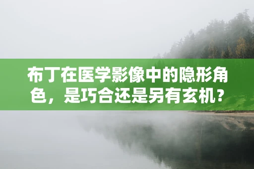 布丁在医学影像中的隐形角色，是巧合还是另有玄机？