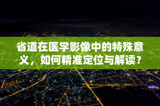 省道在医学影像中的特殊意义，如何精准定位与解读？