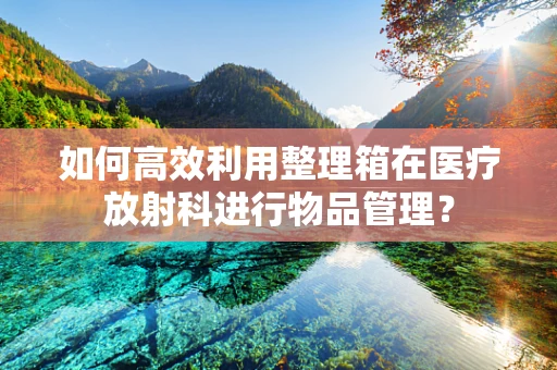 如何高效利用整理箱在医疗放射科进行物品管理？