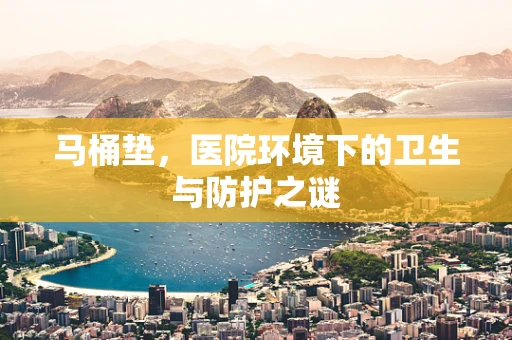 马桶垫，医院环境下的卫生与防护之谜
