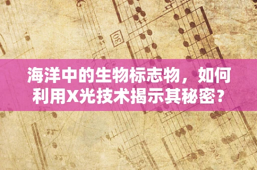 海洋中的生物标志物，如何利用X光技术揭示其秘密？