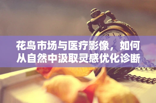 花鸟市场与医疗影像，如何从自然中汲取灵感优化诊断技术？