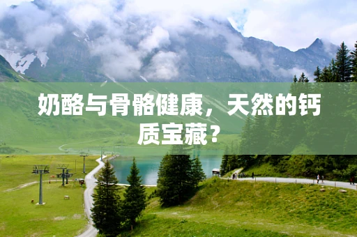 奶酪与骨骼健康，天然的钙质宝藏？