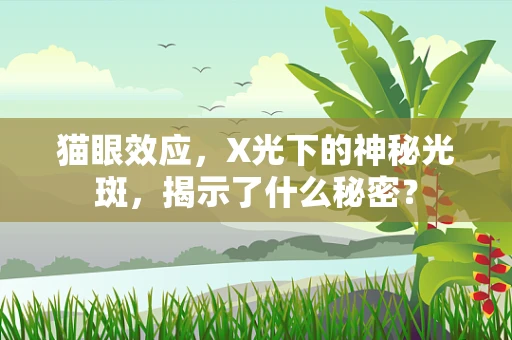 猫眼效应，X光下的神秘光斑，揭示了什么秘密？