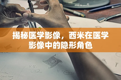 揭秘医学影像，西米在医学影像中的隐形角色