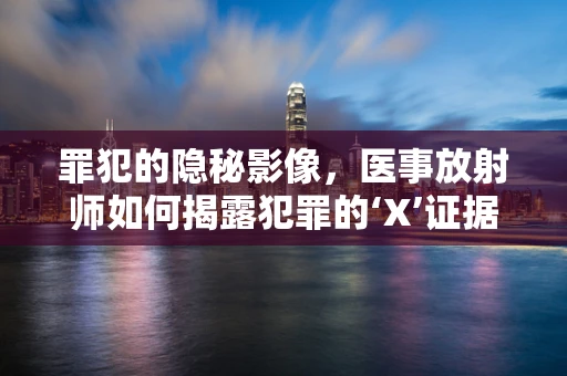 罪犯的隐秘影像，医事放射师如何揭露犯罪的‘X’证据？