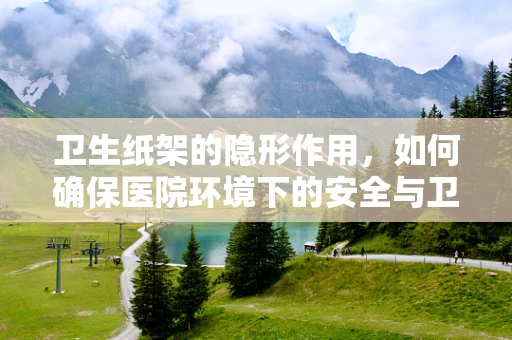 卫生纸架的隐形作用，如何确保医院环境下的安全与卫生？