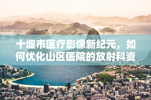 十堰市医疗影像新纪元，如何优化山区医院的放射科资源配置？
