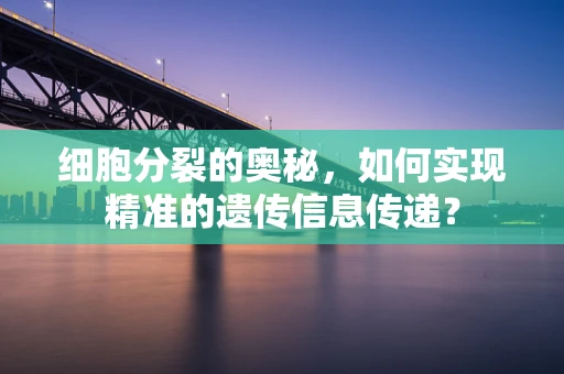 细胞分裂的奥秘，如何实现精准的遗传信息传递？