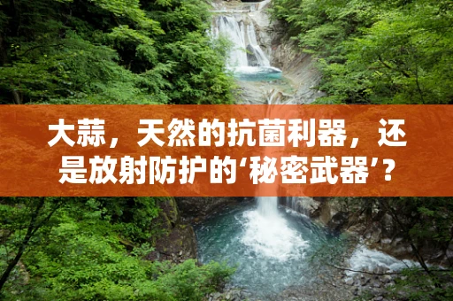 大蒜，天然的抗菌利器，还是放射防护的‘秘密武器’？