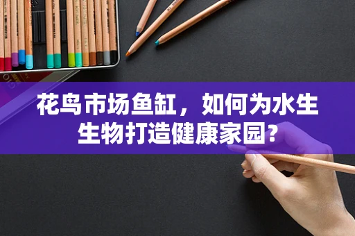 花鸟市场鱼缸，如何为水生生物打造健康家园？