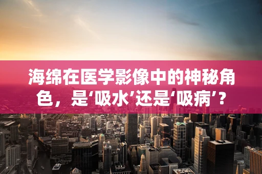 海绵在医学影像中的神秘角色，是‘吸水’还是‘吸病’？