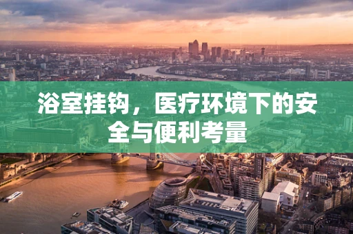 浴室挂钩，医疗环境下的安全与便利考量