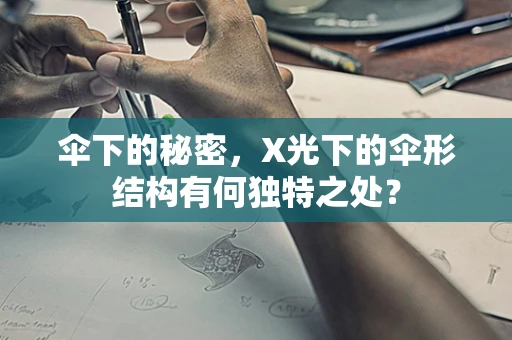 伞下的秘密，X光下的伞形结构有何独特之处？