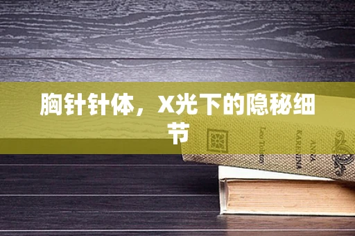 胸针针体，X光下的隐秘细节