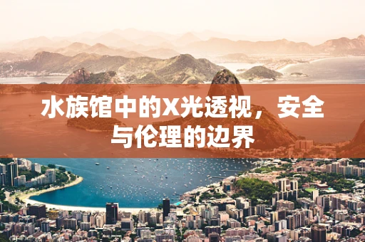 水族馆中的X光透视，安全与伦理的边界