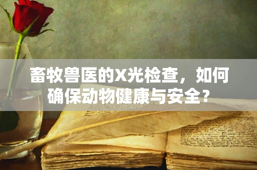 畜牧兽医的X光检查，如何确保动物健康与安全？