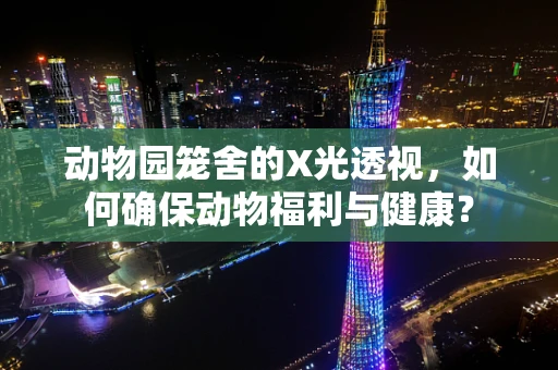 动物园笼舍的X光透视，如何确保动物福利与健康？