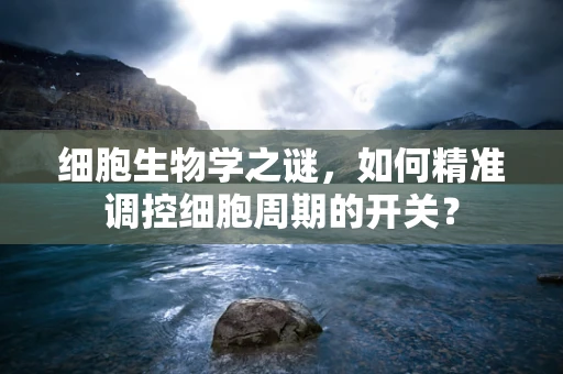 细胞生物学之谜，如何精准调控细胞周期的开关？