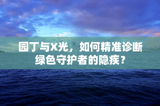 园丁与X光，如何精准诊断绿色守护者的隐疾？
