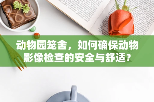 动物园笼舍，如何确保动物影像检查的安全与舒适？