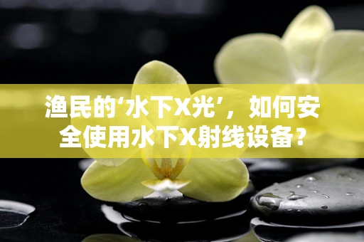 渔民的‘水下X光’，如何安全使用水下X射线设备？